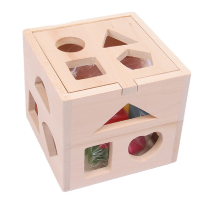 Montessori Wooden Toy - Matching Game